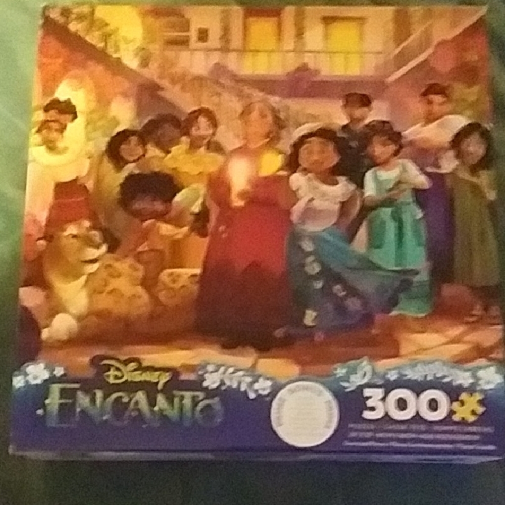 Disney Encanto 300 Piece Puzzle